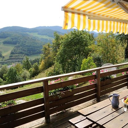 Sainte-Croix-aux-Mines Chalet-Gite Berbuche المظهر الخارجي الصورة