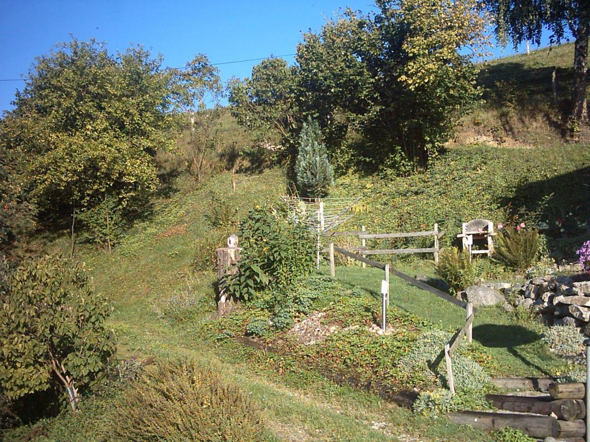 Sainte-Croix-aux-Mines Chalet-Gite Berbuche المظهر الخارجي الصورة