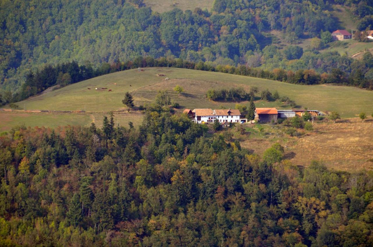 Sainte-Croix-aux-Mines Chalet-Gite Berbuche المظهر الخارجي الصورة
